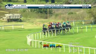 Vidéo de la course PMU PREMIO PICK OUT 2012 (2 TURNO)