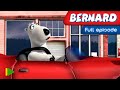 Bernard Bear 103 The Traffic Light Full Episode 