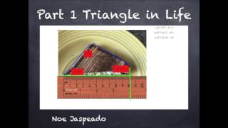 1st Partial Project: Right Triangles