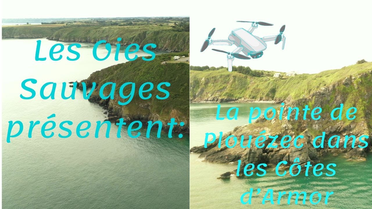 Pointe de Plouézec dans les Côtes d'Armor (22)