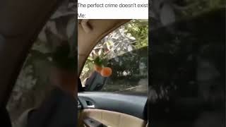 RANDOM MEMES (v486)