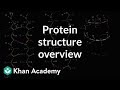 Overview of protein structure | Macromolecules | Biology | Khan Academy