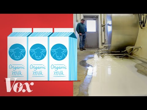 Why American farmers are throwing out tons of milk