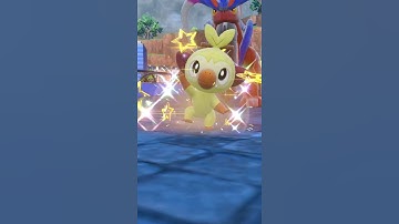 Hatching SHINY Grookey In 1644 Eggs