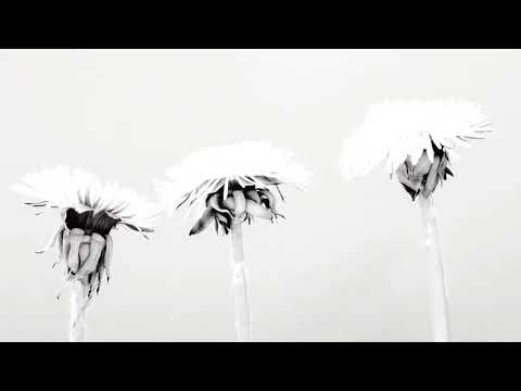 Pablo.m.white - ETAPA 6 (Music Video)