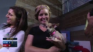 NYM@ARI: Fans enjoy Bark at the Park night in Arizona
