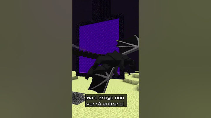 PORTO L’ENDER DRAGON NEL NETHER - MINECRAFT