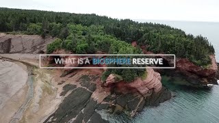 What is a Biosphere Reserve?