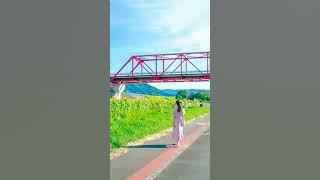 view in the daytime #video #japanese #japan #fyp #jepang #story #shorts #beautiful #fotografia