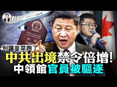 秦刚突然约见美国大使！防美中关系“出意外”？正式驱逐中共外交官！加拿大出重拳；7家陆企面临欧盟制裁，秦刚访欧遭下马威；一趟班机20多人被剪护照，中共限制出境，众多外国人不能幸免｜新闻拍案惊奇 大宇