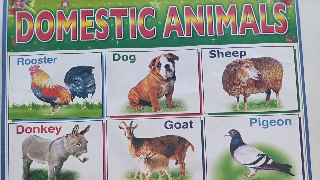 Ukg Lesson Plan Pdf English Medium