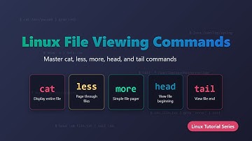 Linux File Viewing Commands: cat, less, tail, head & more for Beginners!