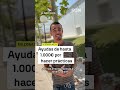 Ayudas de hasta 1.000€ por hacer practicas en zonas rurales