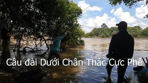 Câu Cá Thiên Nhiên Giật Cháy Lông Nách \ Cách Câu Đài Ở Sông Nước Chảy