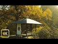 【4K】Autumn Ambience in Japanese Garden 🍂 (Relaxing Atmosphere) Autumn Walk in Parks and Forests