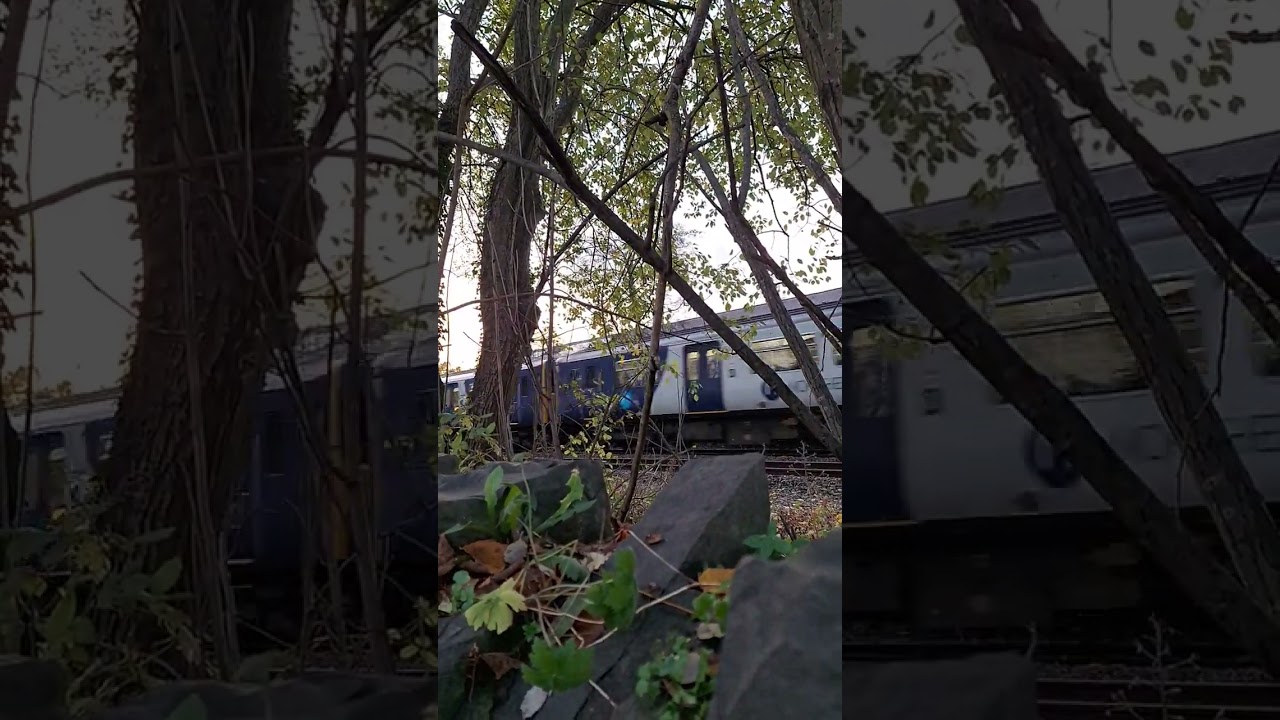 A 150/1 passing Clitheroe! 