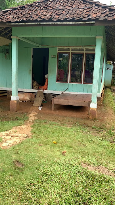 Suasana Alam Pedesaan di Pagi yang Damai #pedesaan #desa