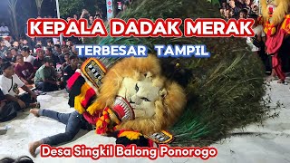 Spektakuler‼️Kepala Harimau Putih Reog Ponorogo di Acara Halalbihalal Seniman Reog Singkil Balong