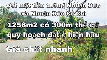 Nhà đất củ chi | giá rẻ | giới thiệu | Lô đất mặt tiền đường chính Nhuận Đức 1256m2 có 300m2 thổ cư