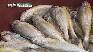배틀트립 Battle Trip - 첫 번째 여행 설계지는 어디일지.20190907
