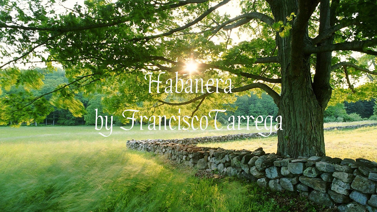 Habanera by Francisco Tárrega