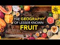 The Geography of Fruits PART 2