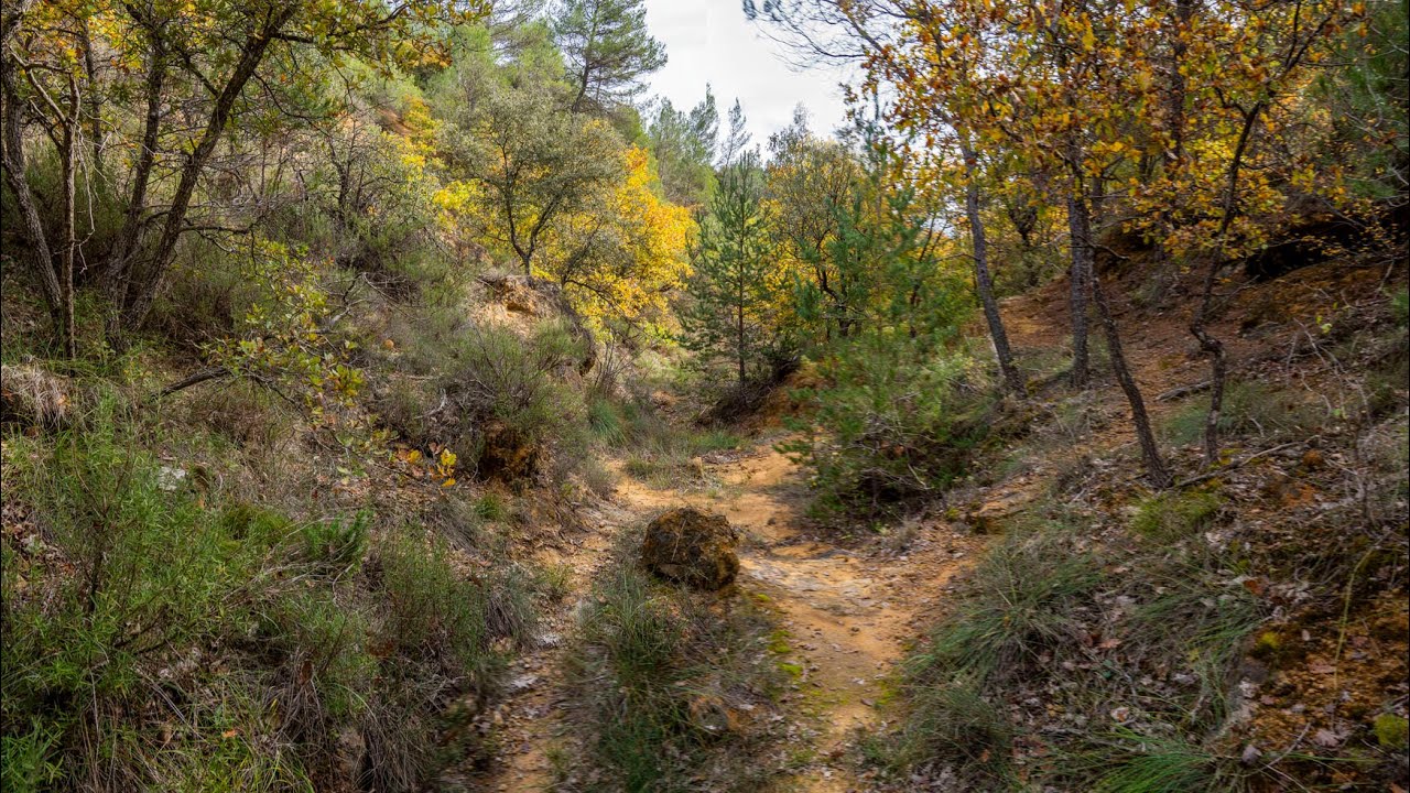 Torrent De St Marcel Par Sainte Croix Depuis Beaumont De Pertuis