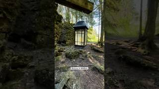 Top 5 hike in Michigan NARNIA #hiking #hikingtrail #michigander #adventureguide #natureguide #hiker