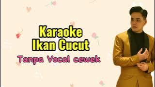 Karaoke Ikan Cucut Tanpa vocal cewek ||Karaoke duet