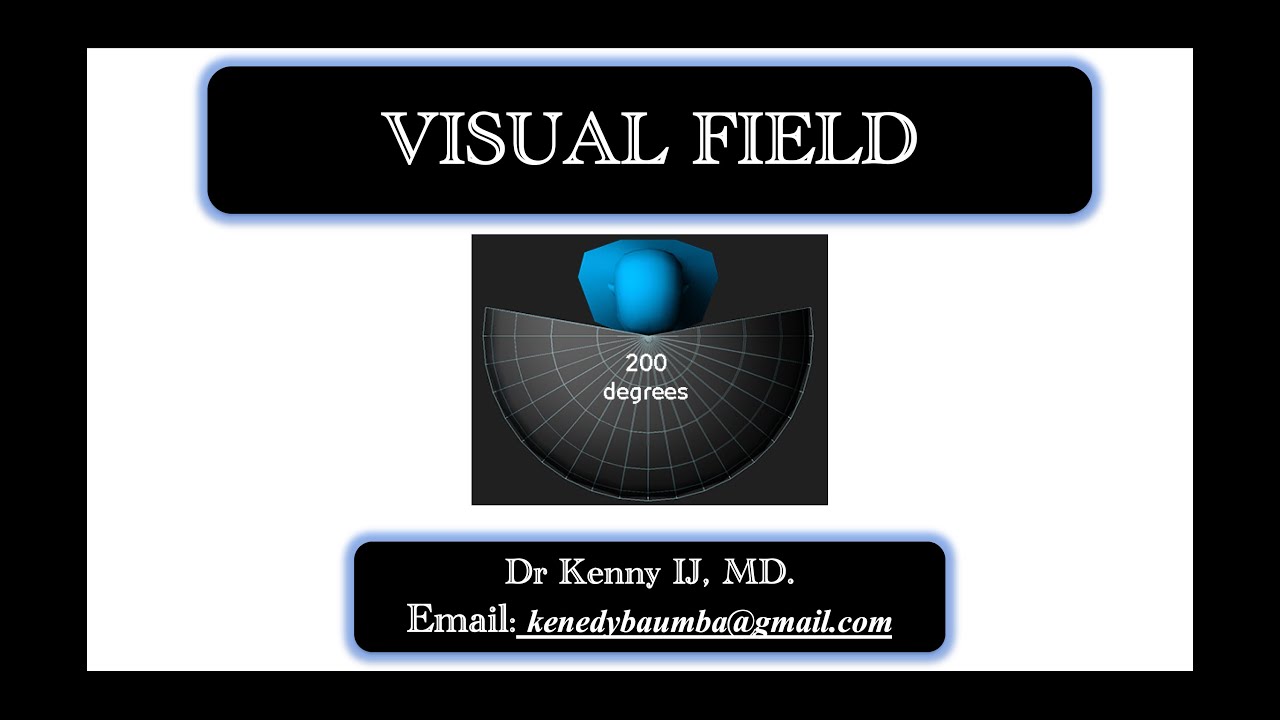 Can You See Without Looking? | Understanding the Visual Field - YouTube