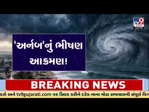 Cyclone Arnab Wreaks Havoc in Andhra Pradesh, 3 Dead and 30 Houses Damaged | TV9Gujarati
