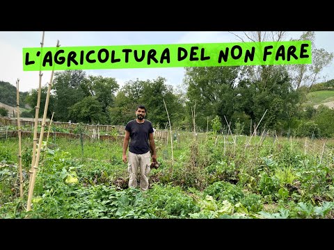 'Coltivare senza acqua