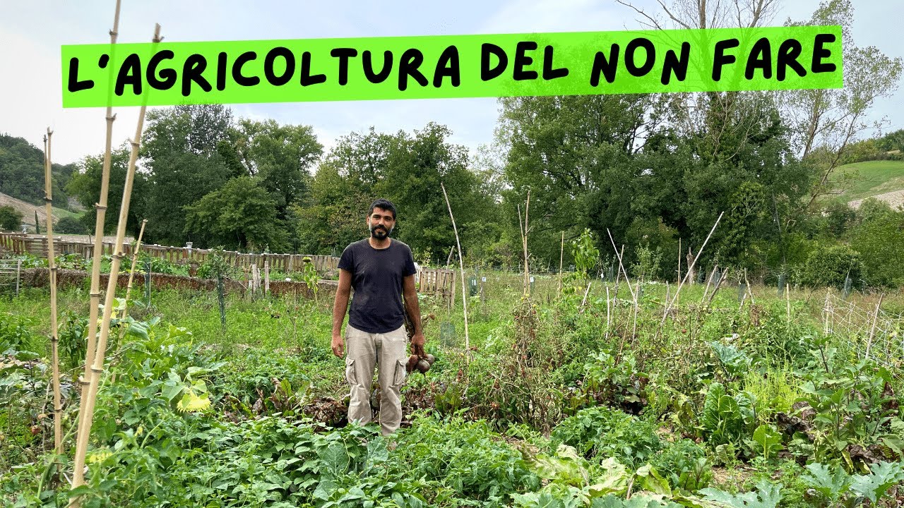 "Coltivare senza acqua con il metodo Fukuoka"