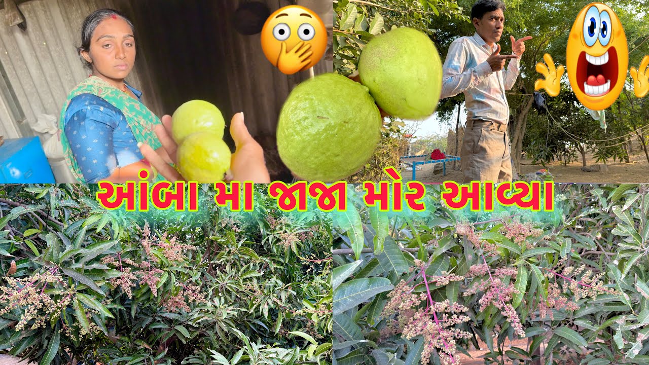 મેળા મા જવાનુ શું થયુ હશે 🎡🎠 chakla avya 🦩 dhanji ni moj