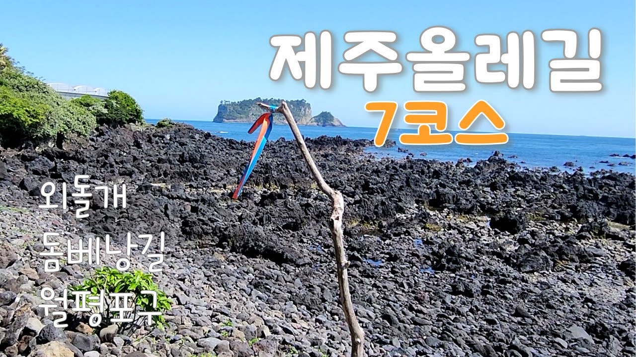 제주 올레길 7코스 | 올레길 딱 한코스만 걷는다면 여기!!✔️👍