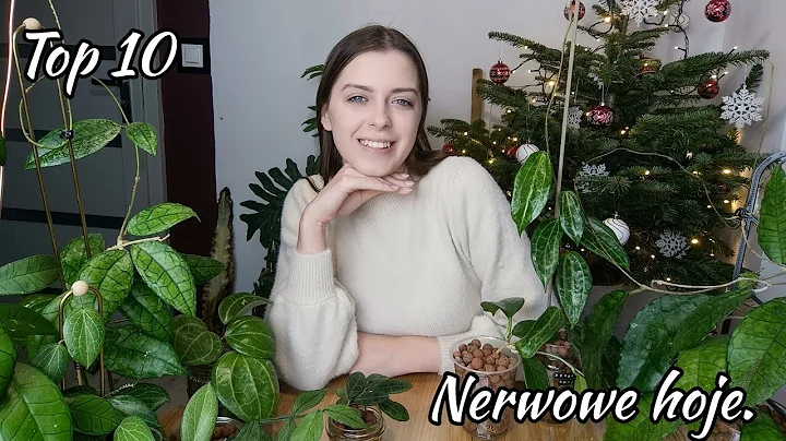 TOP 10 piknie unerwionych hoi! Zapraszam na rolinn...