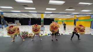 Lion Dance Head Training in Action! 🦁🔥