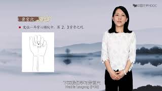 5.1 手厥阴心包经