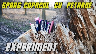 PETARDE vs COPAC 🧨🤪 Poți crăpa un copac cu o PETARDĂ?? + CANAL NOU doar pentru PETARDE ȘI ARTIFICII🎆