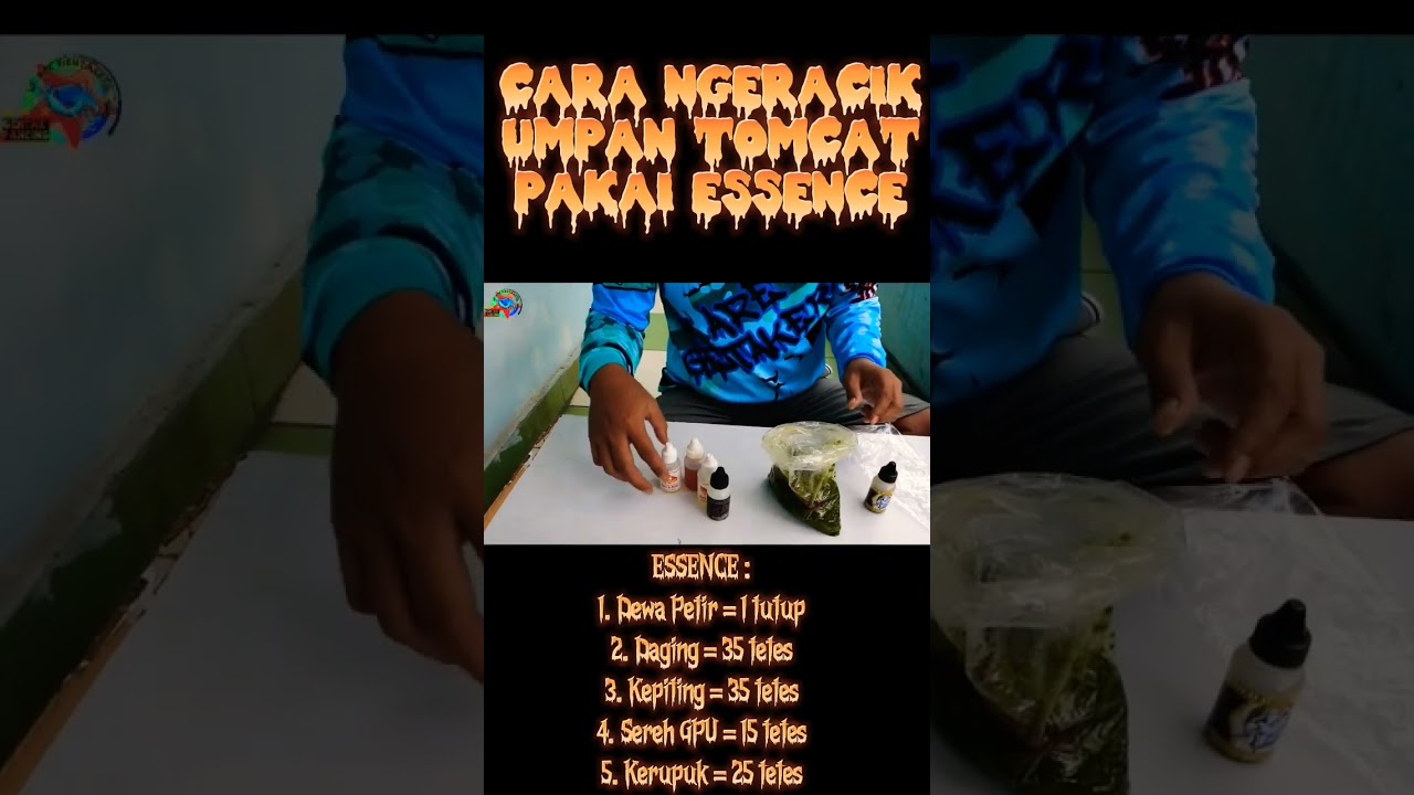 Cara Ng'eracik Umpan TOMCAT !!