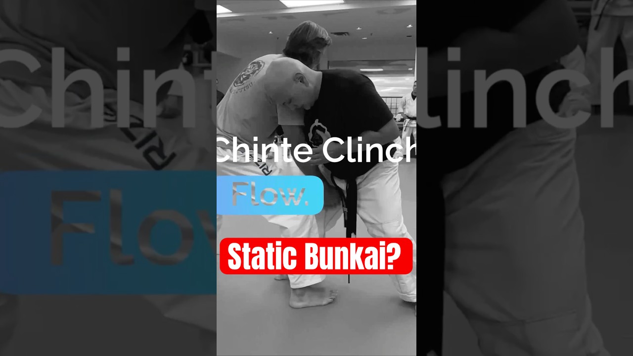 Shotokan Chinte Kata Isn’t Static — So Why Is Your Bunkai?