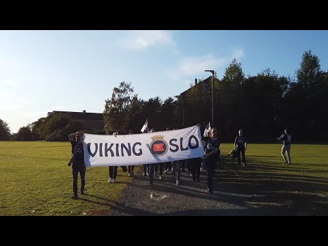 Video: Hvilket Dyr Er Det Smarteste