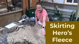Skirting Hero's Fleece for my 2024 Fleece Auction