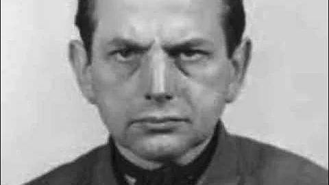 Nuremberg Trial Day 192 (1946) Rolf Hoeppner Direct Dr. Hans Gawlik