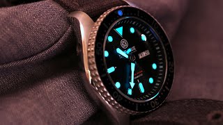 nato diver