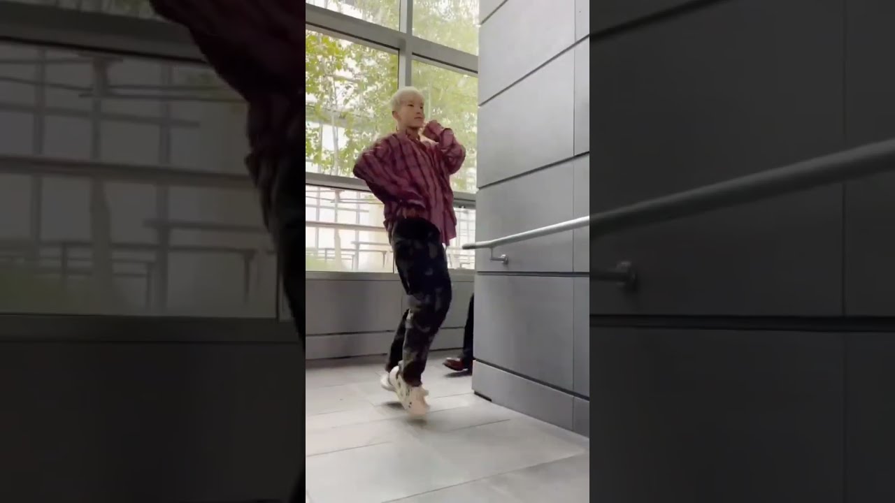 cheers x cat and dog (feel like Cinderella) (seventeen x txt)