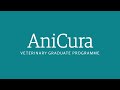 Anicura graduate programme  une formation de qualit  destination des jeunes diplms