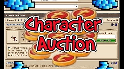 Character Auction - my opinion and thoughts