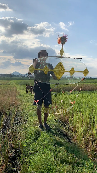 MENERBANGKAN LAYANGAN DENGAN PITU-PITU BUGIS #layangan #pitupitu #televisisolang #149