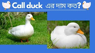 Call duck এর দাম কত Call duck price in Bangladesh-Mandarine, call duck, swan duck price- Pet animal